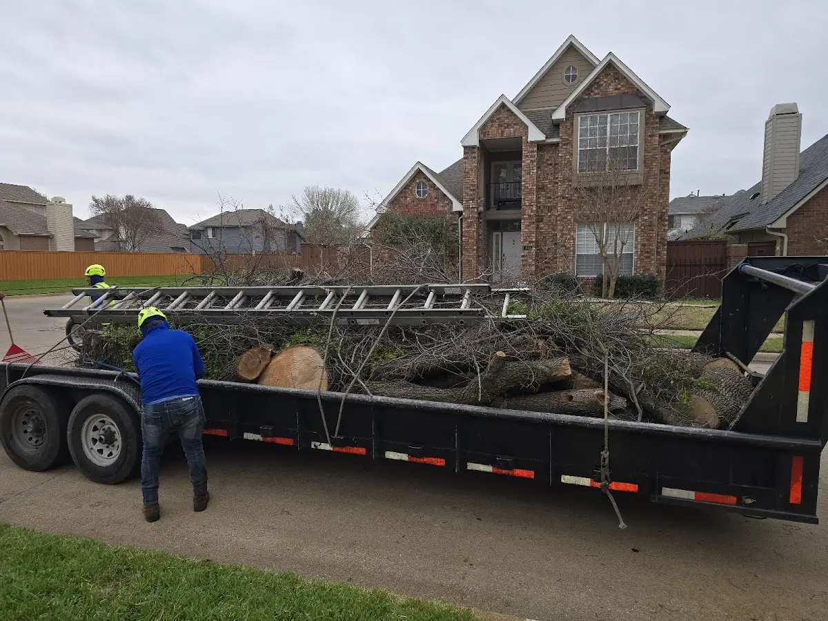 Expert Tree Fertilization with proper safety equipment in Rugby
